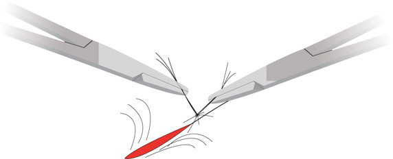Twee haarbundels worden verbonden, zonder knoop.