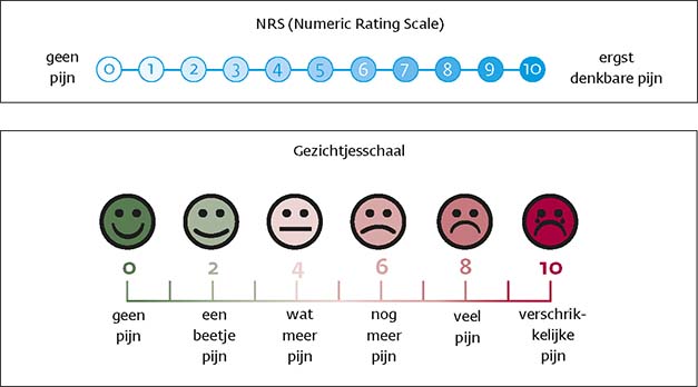 NHG-Standaard Pijn | Huisarts & Wetenschap