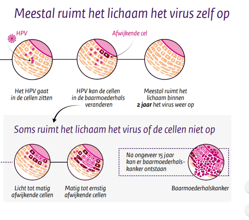 hpv virus uit lichaam