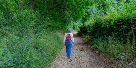 Persoon wandelt met hondje door het bos