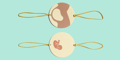 Taumatrope. Illustratie: Deborah van der Schaaf