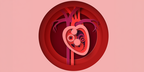 Bij hart- en vaatziekten blijft secundaire preventie cruciaal, ook bij jonge HVZ-patiënten. Foto: Shutterstock