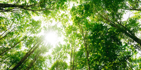 Klimaatimpact speelt amper mee bij de keuze voor een inhalator. Patiënten en zorgverleners staan daar wel voor open, blijkt uit onderzoek. Beeld: Shutterstock