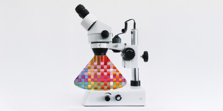 Illustratie: Deborah van der Schaaf