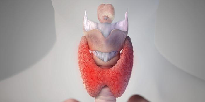 Het beloop van subklinische hyperthyreoïdie in de huisartsenpraktijk is bij de meeste patiënten gunstig. Foto: Shutterstock