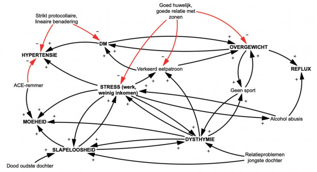 Causaal-ketendiagram van de complexe interacties die de gezondheid van meneer Van Dijk bepalen.