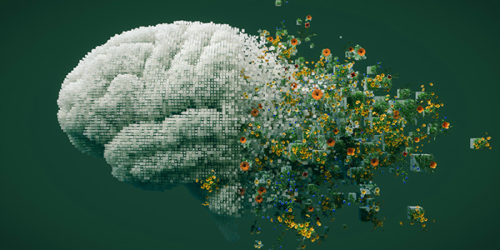 Wat betekenen nieuwe anti-amyloïdbehandelingen voor mensen met de ziekte van Alzheimer? Illustratie: Unsplash
