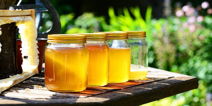 Mooi Initiatief ZuidAmerika Honing helpt tegen hoesten | Huisarts & Wetenschap